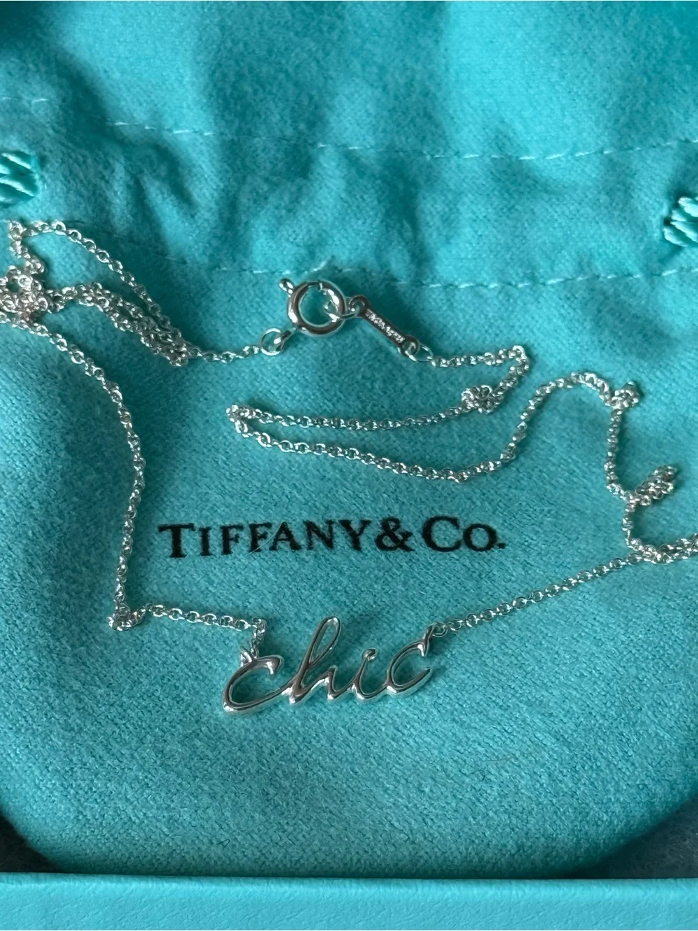 Tiffany & Co Brand New Paloma’s Graffiti Chic Necklace in silver ( never worn)
